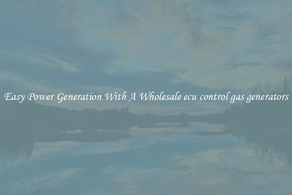 Easy Power Generation With A Wholesale ecu control gas generators