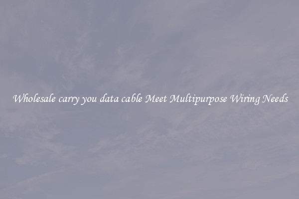 Wholesale carry you data cable Meet Multipurpose Wiring Needs