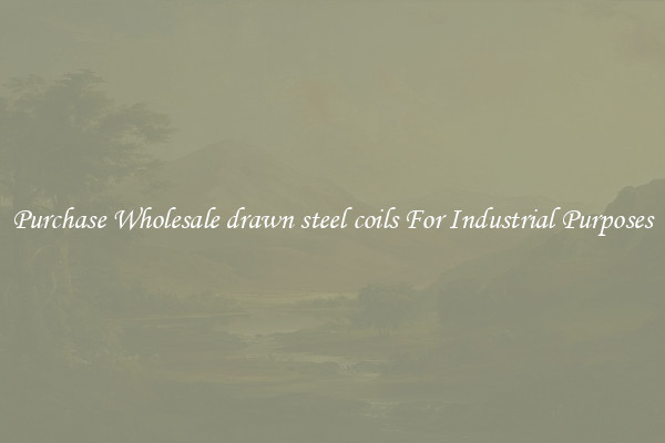 Purchase Wholesale drawn steel coils For Industrial Purposes