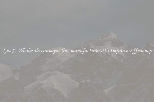 Get A Wholesale conveyor line manufacturers To Improve Efficiency
