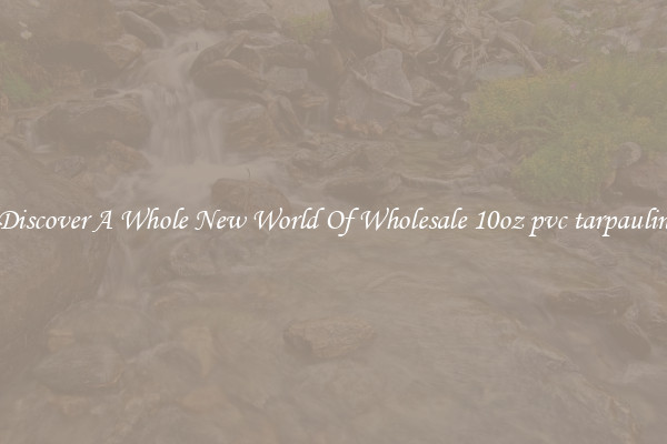 Discover A Whole New World Of Wholesale 10oz pvc tarpaulin