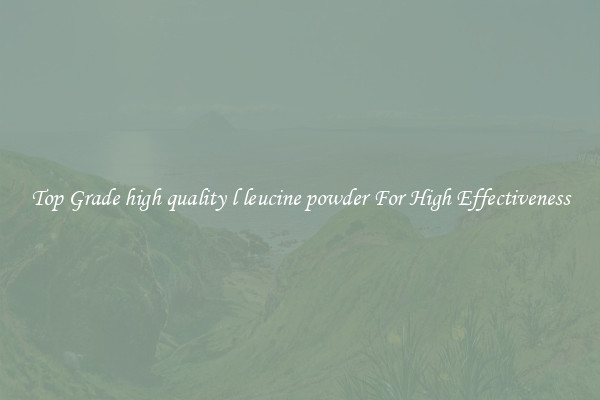 Top Grade high quality l leucine powder For High Effectiveness