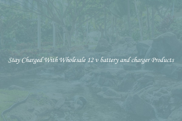 Stay Charged With Wholesale 12 v battery and charger Products
