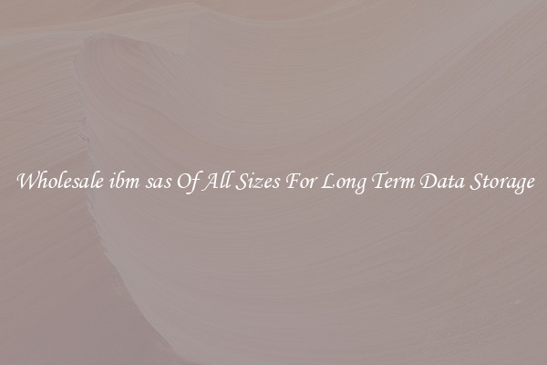 Wholesale ibm sas Of All Sizes For Long Term Data Storage
