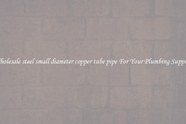 Wholesale steel small diameter copper tube pipe For Your Plumbing Supplies