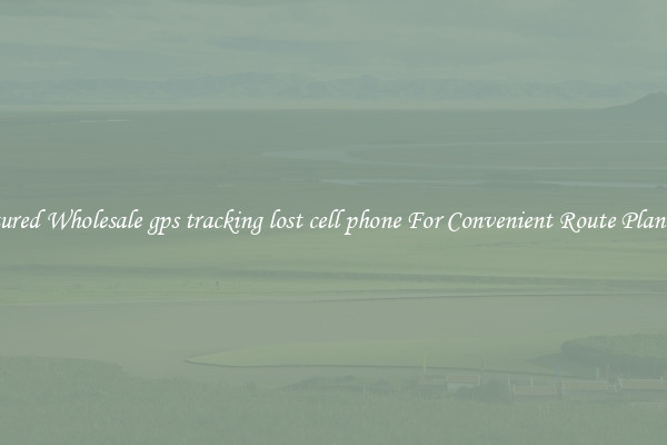 Featured Wholesale gps tracking lost cell phone For Convenient Route Planning 