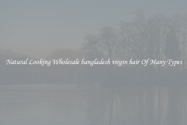 Natural Looking Wholesale bangladesh virgin hair Of Many Types