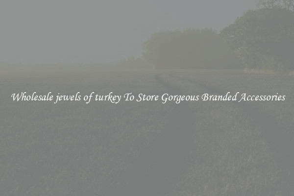 Wholesale jewels of turkey To Store Gorgeous Branded Accessories