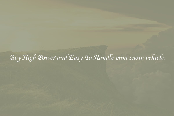 Buy High Power and Easy-To-Handle mini snow vehicle.