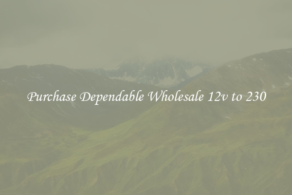 Purchase Dependable Wholesale 12v to 230