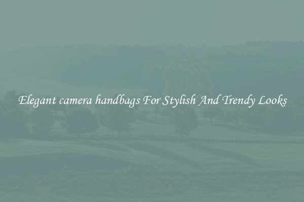 Elegant camera handbags For Stylish And Trendy Looks