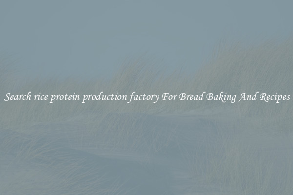 Search rice protein production factory For Bread Baking And Recipes