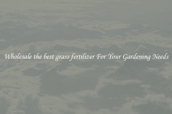 Wholesale the best grass fertilizer For Your Gardening Needs