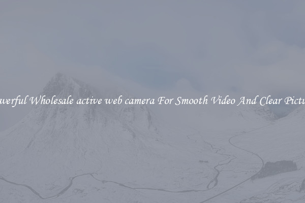 Powerful Wholesale active web camera For Smooth Video And Clear Pictures