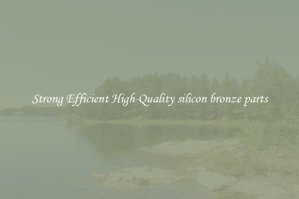 Strong Efficient High-Quality silicon bronze parts